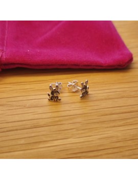 Boucles d'oreilles âne en...