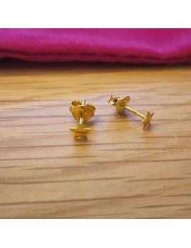 Boucles d'oreilles étoile...